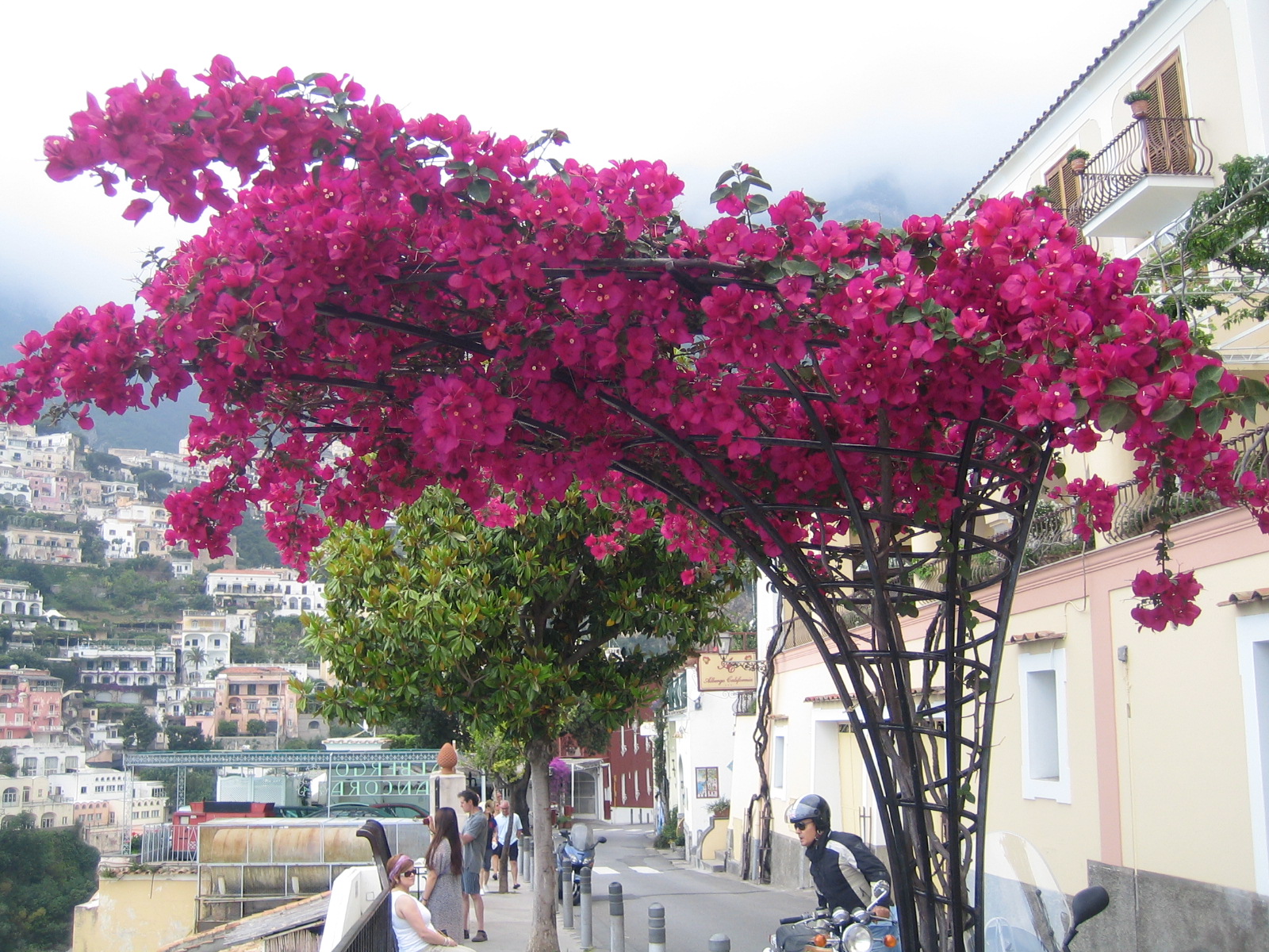 Sorrento_7992